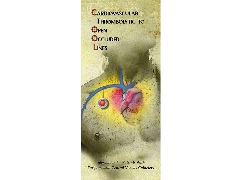 GN208brochCover768.jpg