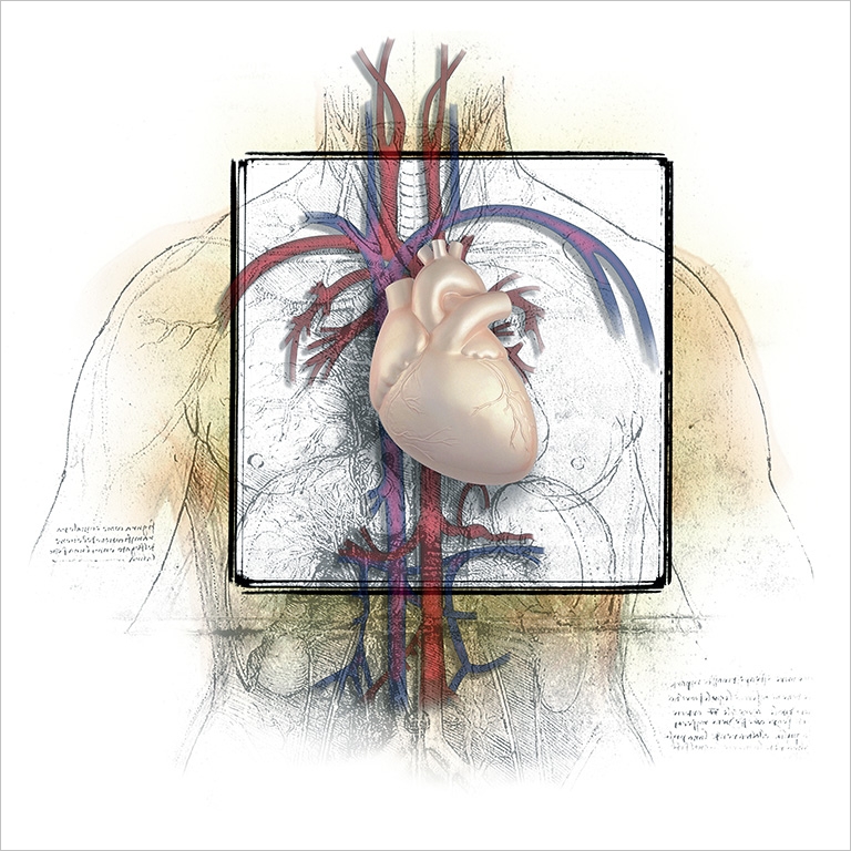 NP16CoverArt768.jpg